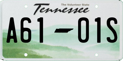 TN license plate A6101S