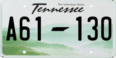 TN license plate A6113O