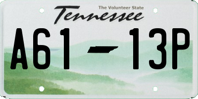 TN license plate A6113P