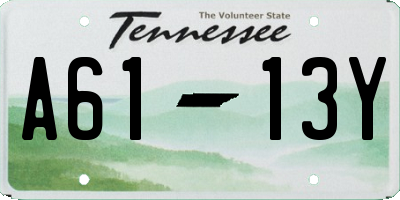 TN license plate A6113Y