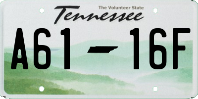 TN license plate A6116F