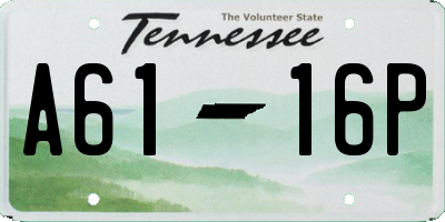 TN license plate A6116P