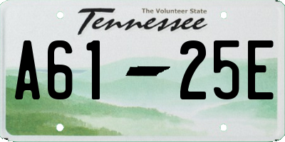 TN license plate A6125E