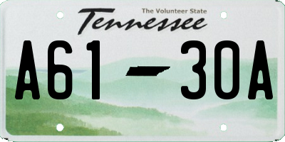 TN license plate A6130A