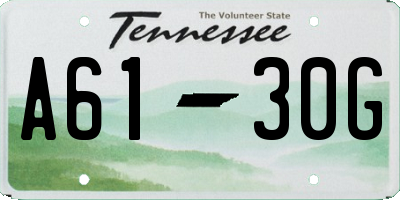 TN license plate A6130G