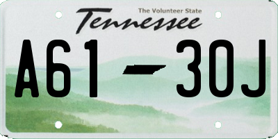 TN license plate A6130J
