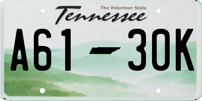 TN license plate A6130K
