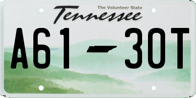 TN license plate A6130T