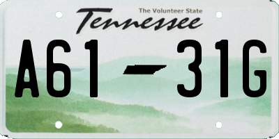 TN license plate A6131G