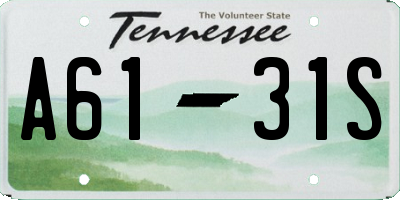 TN license plate A6131S