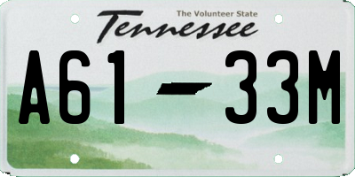 TN license plate A6133M
