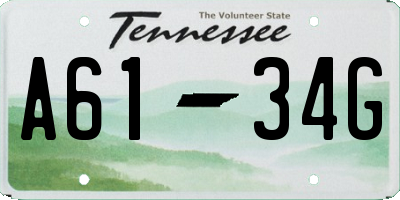 TN license plate A6134G
