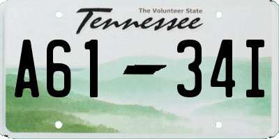 TN license plate A6134I