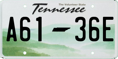 TN license plate A6136E