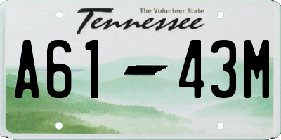 TN license plate A6143M