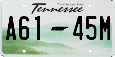 TN license plate A6145M
