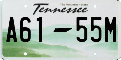 TN license plate A6155M