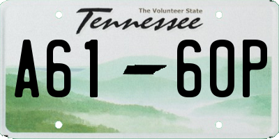 TN license plate A6160P