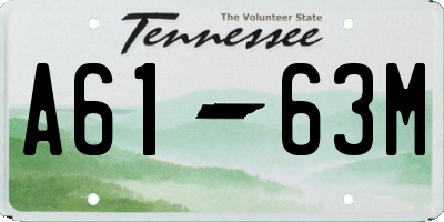 TN license plate A6163M