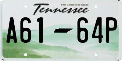 TN license plate A6164P