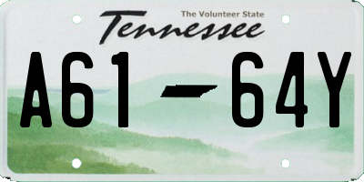TN license plate A6164Y