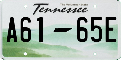 TN license plate A6165E