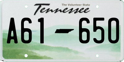 TN license plate A6165O