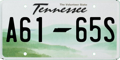 TN license plate A6165S
