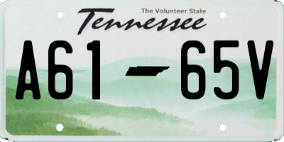 TN license plate A6165V
