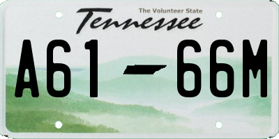 TN license plate A6166M