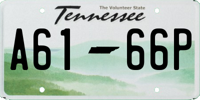 TN license plate A6166P