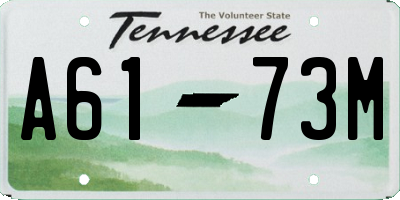 TN license plate A6173M