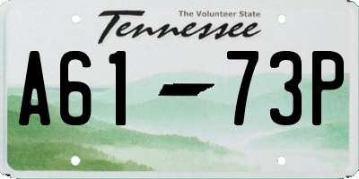 TN license plate A6173P