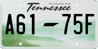TN license plate A6175F