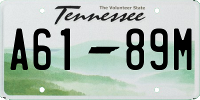 TN license plate A6189M