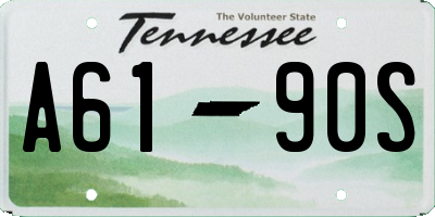 TN license plate A6190S