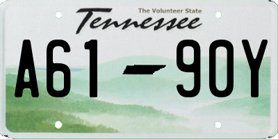 TN license plate A6190Y