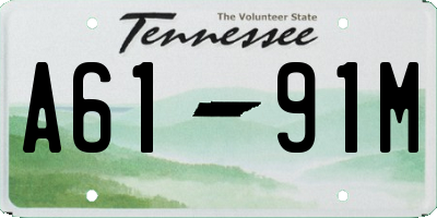 TN license plate A6191M