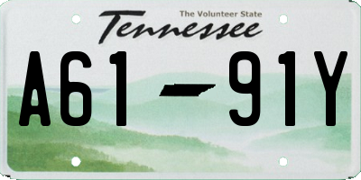 TN license plate A6191Y