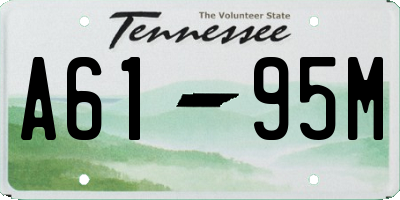 TN license plate A6195M