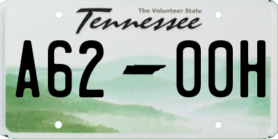 TN license plate A6200H