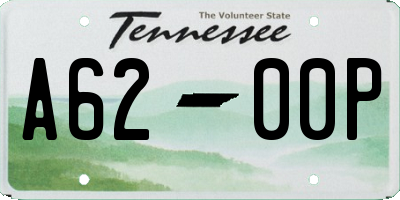 TN license plate A6200P