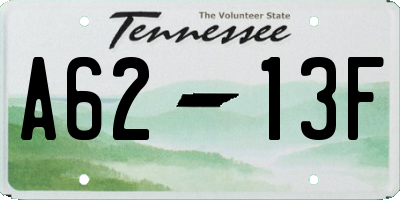 TN license plate A6213F