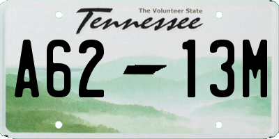 TN license plate A6213M