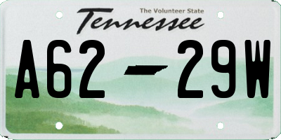 TN license plate A6229W
