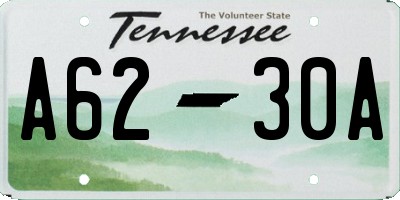 TN license plate A6230A