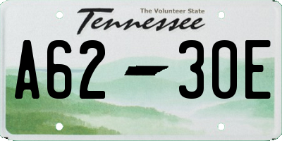 TN license plate A6230E
