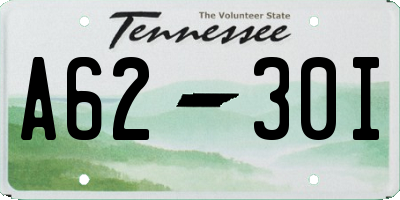 TN license plate A6230I