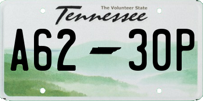 TN license plate A6230P