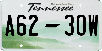 TN license plate A6230W